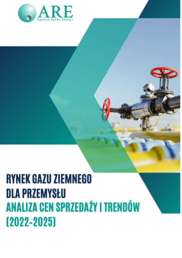 rynek-gazu-ziemnego-dla-przemyslu-analiza-cen-sprzedazy-i-trendow-2022-2025.png