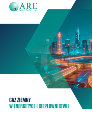 szkolenie-gaz-ziemny-w-energetyce-i-cieplownictwie.png
